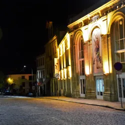 Viseu Municipal Theater (Teatro Viriato) - Viseu