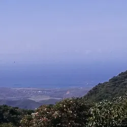 Adjuntas Town Plaza - Adjuntas