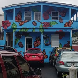 Casa Pueblo - Adjuntas