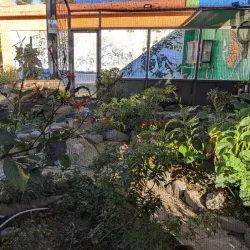 Casa Pueblo - Adjuntas