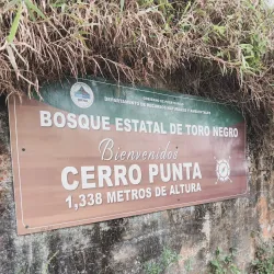 Cerro de Punta - Adjuntas