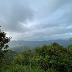 Cerro de Punta - Adjuntas