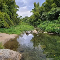 Charco La Confesora - Adjuntas