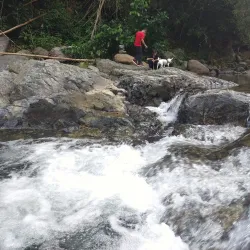 Charco La Confesora - Adjuntas