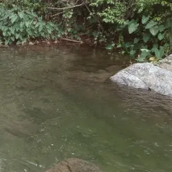 Charco La Confesora - Adjuntas