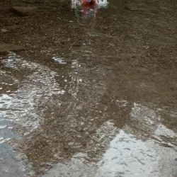 Charco La Confesora - Adjuntas