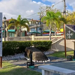 La Piedra Escrita - Adjuntas
