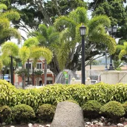 La Piedra Escrita - Adjuntas