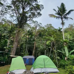 Toro Negro State Forest - Adjuntas