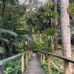 Toro Negro State Forest - Adjuntas