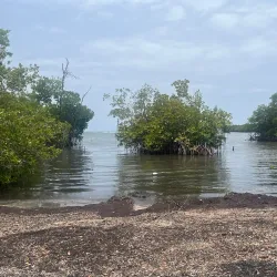 Reserva Natural Punta Cucharas - Aguada