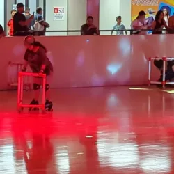 Aguadilla Ice Skating Arena - Aguadilla