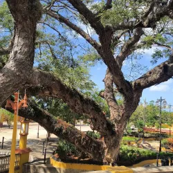 El Parterre - Aguadilla