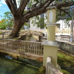 El Parterre - Aguadilla