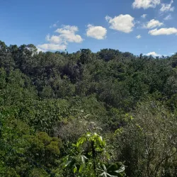 Guajataca State Forest - Aguadilla