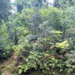 Charco Azul - Aguas Buenas