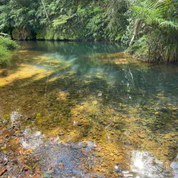 Charco Azul - Aguas Buenas