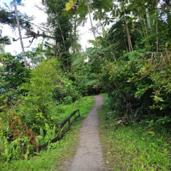 Charco Azul - Aguas Buenas