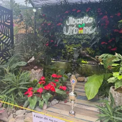 Festival de las Flores - Aguas Buenas