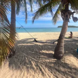 Parque de la Ceiba - Aguas Buenas