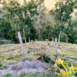 Reserva Natural La Robleda - Aguas Buenas