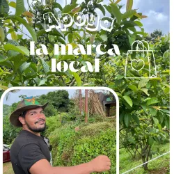 Ruta de las Flores - Aguas Buenas