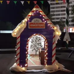 Estadio Juan Ramón Loubriel - Bayamon