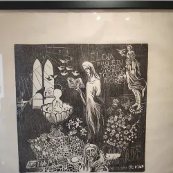 Museo de Arte de Bayamon - Bayamon