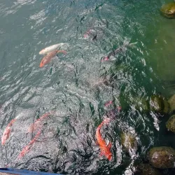 Parque de la Familia - Bayamon