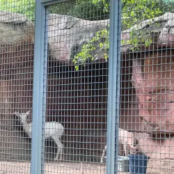 Parque de las Ciencias Luis A. Ferré - Bayamon