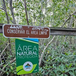 Cabo Rojo Mangrove Forests - Cabo Rojo
