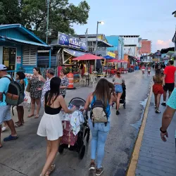 Cabo Rojo Mangrove Forests - Cabo Rojo