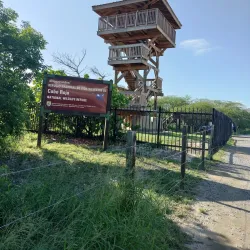 Cabo Rojo National Wildlife Refuge - Cabo Rojo