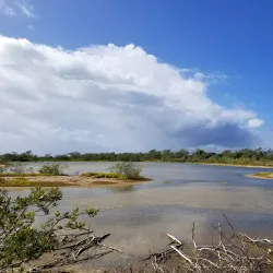 Cabo Rojo National Wildlife Refuge - Cabo Rojo