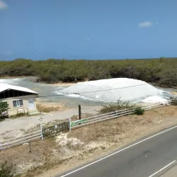 Cabo Rojo National Wildlife Refuge - Cabo Rojo
