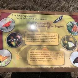 Cabo Rojo National Wildlife Refuge - Cabo Rojo