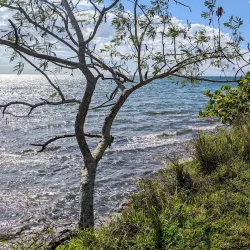 Punta Arenas Beach - Cabo Rojo