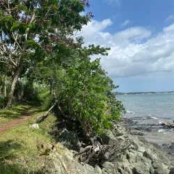 Punta Arenas Beach - Cabo Rojo