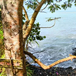Punta Arenas Beach - Cabo Rojo