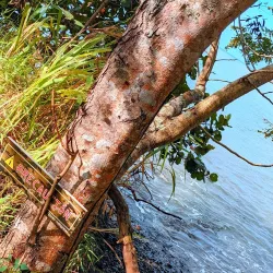 Punta Arenas Beach - Cabo Rojo