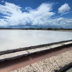 Salt Flats of Cabo Rojo (Salinas de Cabo Rojo) - Cabo Rojo