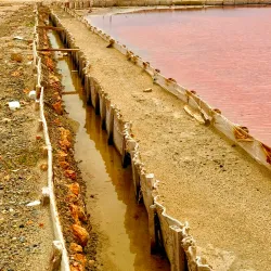 Salt Flats of Cabo Rojo (Salinas de Cabo Rojo) - Cabo Rojo