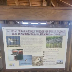 Salt Flats of Cabo Rojo (Salinas de Cabo Rojo) - Cabo Rojo