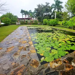 Caguas Botanical Garden (Jardín Botánico y Cultural de Caguas) - Caguas