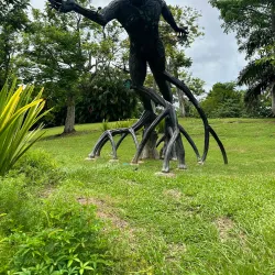 Caguas Botanical Garden (Jardín Botánico y Cultural de Caguas) - Caguas