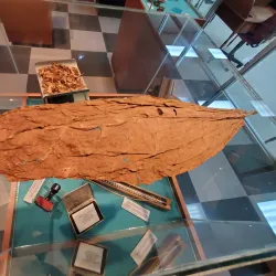 Caguas Tobacco Cigar Factory (Fábrica de Tabaco) - Caguas