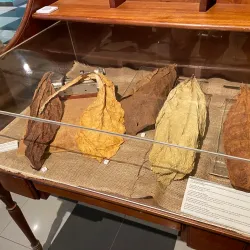 Caguas Tobacco Cigar Factory (Fábrica de Tabaco) - Caguas