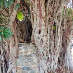 Casa del Trovador - Caguas