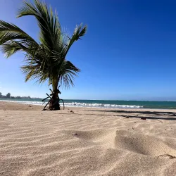 Carolina Beach - Carolina