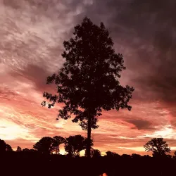 Carolina Golf Club - Carolina